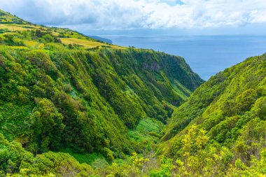 Miradouro da Ribeira Funda 'dan görüntü Faial Adası, Azores, Portekiz.
