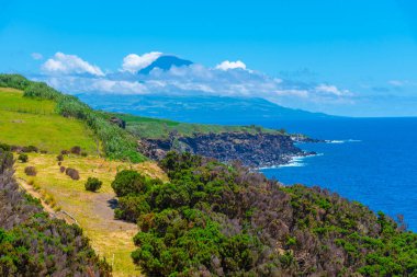 Pico Adası, Faial, Azores, Portekiz 'den.