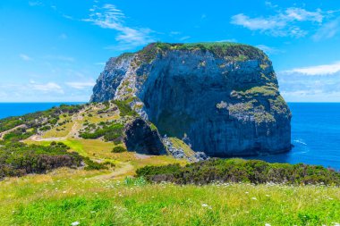 Ponta do Morro / Castelo Branco Faial Adası, Azores, Portekiz.