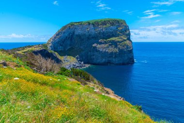 Ponta do Morro / Castelo Branco Faial Adası, Azores, Portekiz.
