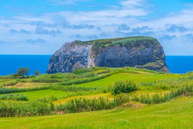 Ponta do Morro / Castelo Branco Faial Adası, Azores, Portekiz.
