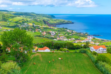 Portekiz, Azores 'teki Periler adasının kırsal manzarası.