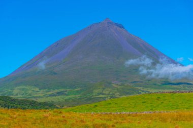 Pico adasının manzarası Pico Dağı, Azores, Portekiz egemenliğinde..