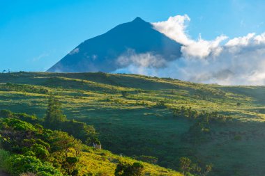 Pico adasının manzarası Pico Dağı, Azores, Portekiz egemenliğinde..