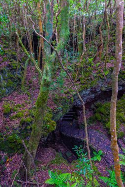 Pico Adası, Azores, Portekiz 'deki Gruta das Torres mağarasına çıkan dik merdivenler..