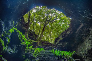 Pico Adası, Azores, Portekiz 'deki Gruta das Torres mağarasına çıkan dik merdivenler..