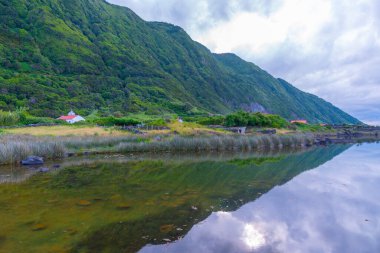 Portekiz, Azores 'deki Sao Jorge adasında Faja dos Cubres bataklığı.