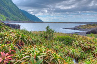 Portekiz, Azores 'teki Sao Jorge adasında Faja da Caldeira Santo Cristo.