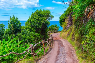 Portekiz 'deki Sao Jorge adasında kıyı yürüyüşü.