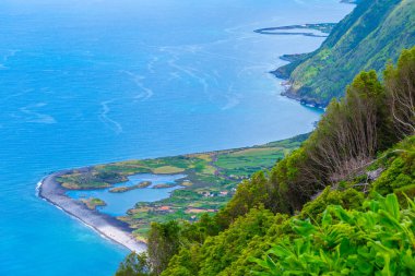 Portekiz, Azores 'deki Sao Jorge adasında Faja dos Cubres bataklığı.