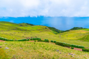 Portekiz, Azores 'in Sao Jorge Adası' nın dağlık bölgeleri..