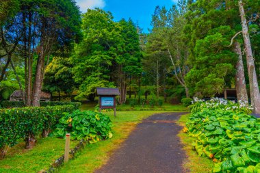 Sete Fontes forrestal parkı Portekiz 'deki Sao Jorge adasında..