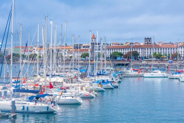 Portekiz 'deki Sao Jorge adasının kıyı şeridi.