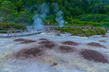 Portekiz 'in Sao Miguel adasındaki Furnas Gölü' nde Fumaroles..