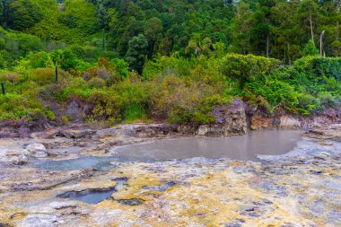 Portekiz 'in Sao Miguel adasındaki Furnas Gölü' nde Fumaroles..