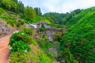 Ribeira dos Caldeiroes Sao Miguel adasındaki doğal park, Azores, Portekiz.
