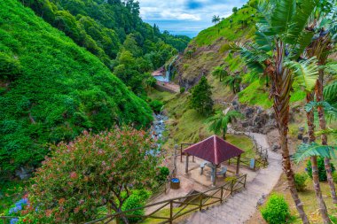 Ribeira dos Caldeiroes Sao Miguel adasındaki doğal park, Azores, Portekiz.
