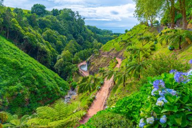 Ribeira dos Caldeiroes Sao Miguel adasındaki doğal park, Azores, Portekiz.