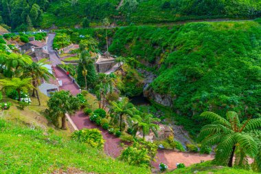 Ribeira dos Caldeiroes Sao Miguel adasındaki doğal park, Azores, Portekiz.