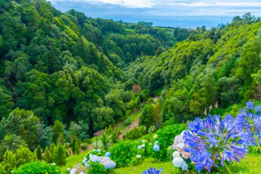Ribeira dos Caldeiroes Sao Miguel adasındaki doğal park, Azores, Portekiz.