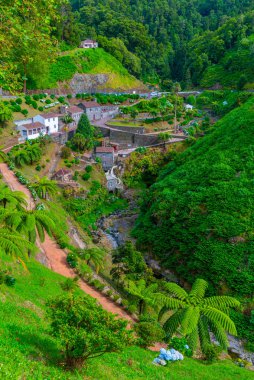 Ribeira dos Caldeiroes Sao Miguel adasındaki doğal park, Azores, Portekiz.