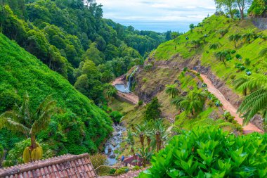 Ribeira dos Caldeiroes Sao Miguel adasındaki doğal park, Azores, Portekiz.