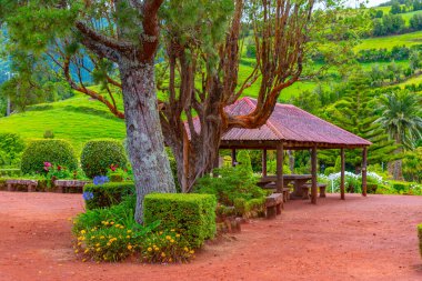 Miradouro da Ponta do Sossego 'daki Bahçe Sao Miguel Adası, Portekiz.