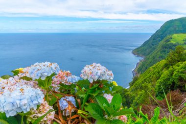 Miradouro da Ponta do Sossego Sao Miguel Adası, Portekiz.