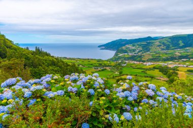 Portekiz Sao Miguel adasında Miradouro do Por-do-Sol.
