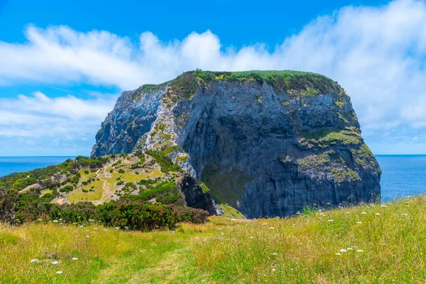 Ponta do Morro / Castelo Branco Faial Adası, Azores, Portekiz.