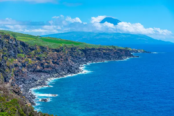 Pico Adası, Faial, Azores, Portekiz 'den.