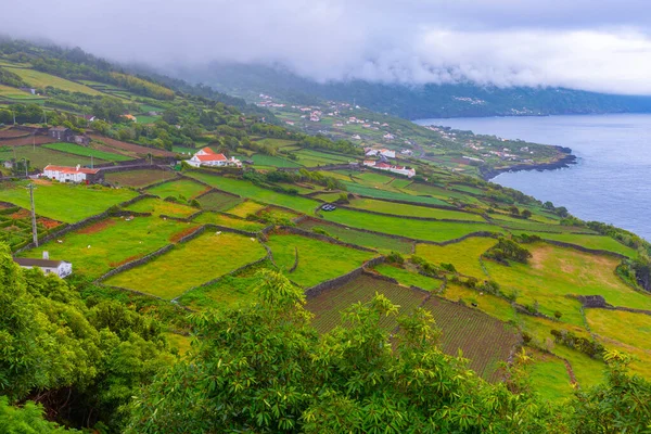 Miradouro Ponta Arrife Portekiz Deki Pico Adası Nda — Stok fotoğraf