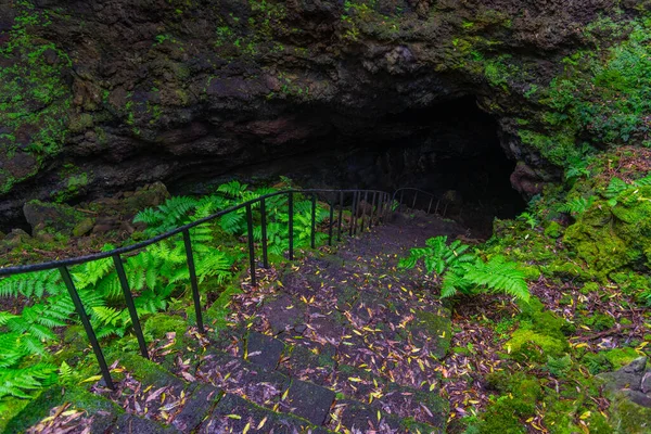 Escalera Empinada Que Conduce Gruta Das Torres Cueva Isla Pico —  Fotos de Stock