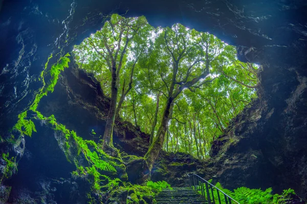 Escalier Raide Menant Grotte Gruta Das Torres Sur Île Pico — Photo