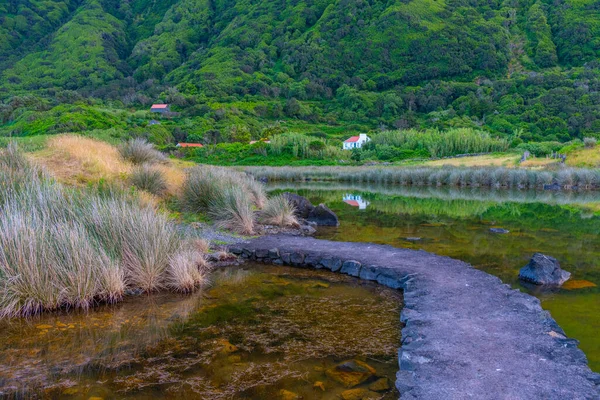 Faja Dos Cubres Marshes Στο Νησί Sao Jorge Στις Αζόρες — Φωτογραφία Αρχείου