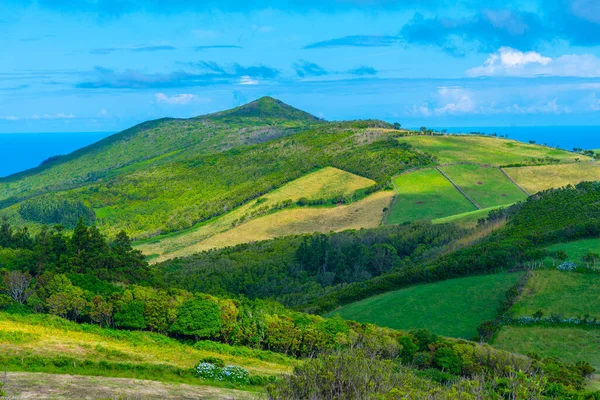 Portekiz, Azores 'deki Sao Jorge adasının kırsal arazisi..
