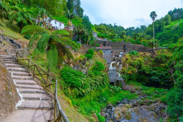 Ribeira dos Caldeiroes Sao Miguel adasındaki doğal park, Azores, Portekiz.