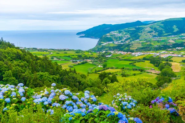 Portekiz Sao Miguel adasında Miradouro do Por-do-Sol.