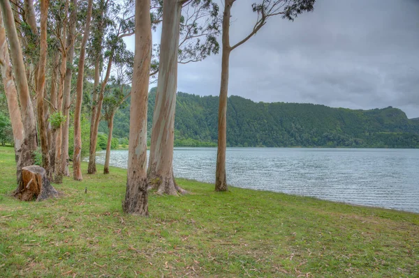 Portekiz, Sao Miguel adasında Furnas Gölü.