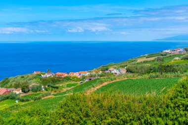 Portekiz, Azores 'deki Sao Miguel adasının kırsal arazisi..