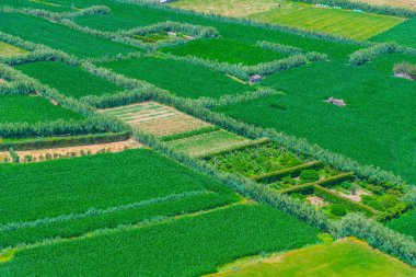 Portekiz, Azores 'deki Sao Miguel adasının kırsal arazisi..