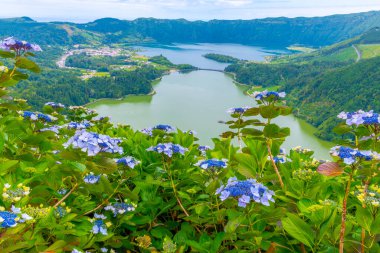 Miradouro da Vista do Rei View Lagoa Verde ve Lagoa Azul Sao Miguel Adası, Portekiz.