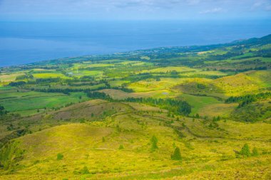 Portekiz, Azores 'deki Sao Miguel adasının kırsal arazisi..