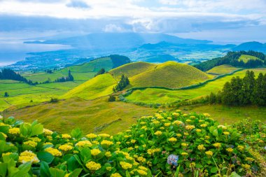 Portekiz, Azores 'deki Sao Miguel adasının kırsal arazisi..