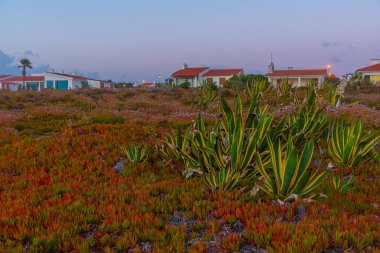 Portekiz 'deki Porto Covo' da deniz kenarındaki malikaneler.
