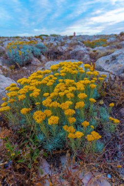 Portekiz 'de gün batımında Cabo de Sao Vicente.