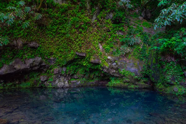 Estanque Poco Azul Isla Sao Miguel Las Azores Portugal —  Fotos de Stock