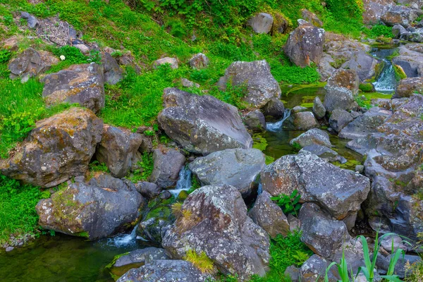 Sao Miguel, Azores, Portekiz 'de poco azul' a doğru yürüyüş izleri var..