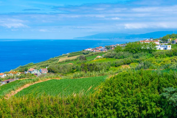 Venkovská Krajina Ostrova Sao Miguel Azorách Portugalsko — Stock fotografie