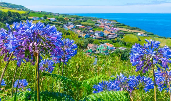 Miradouro do Pico Vermelho Sao Miguel Adası, Portekiz.